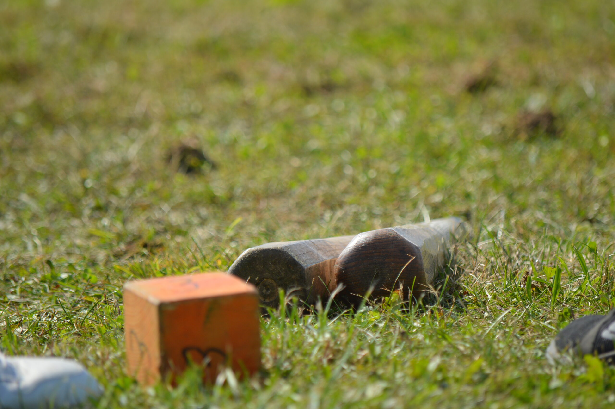 DSC_0729 DSC_0729